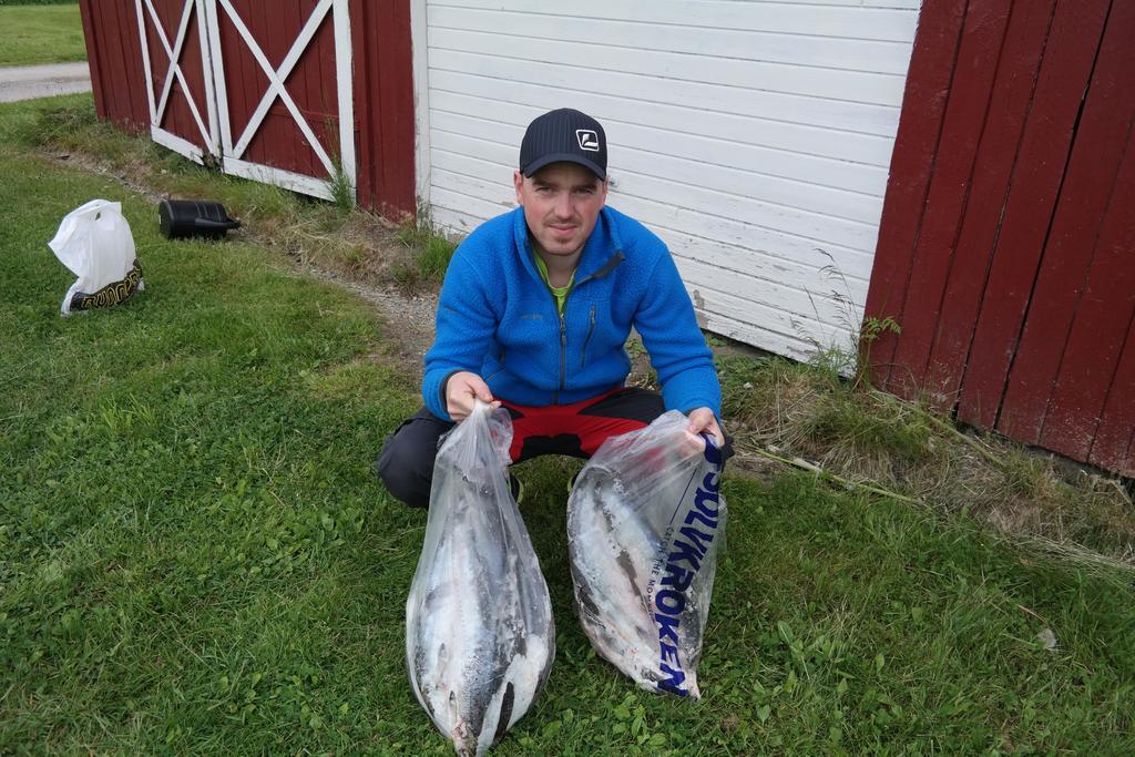 Holmset Camping And Fishing Namdalseid エクステリア 写真