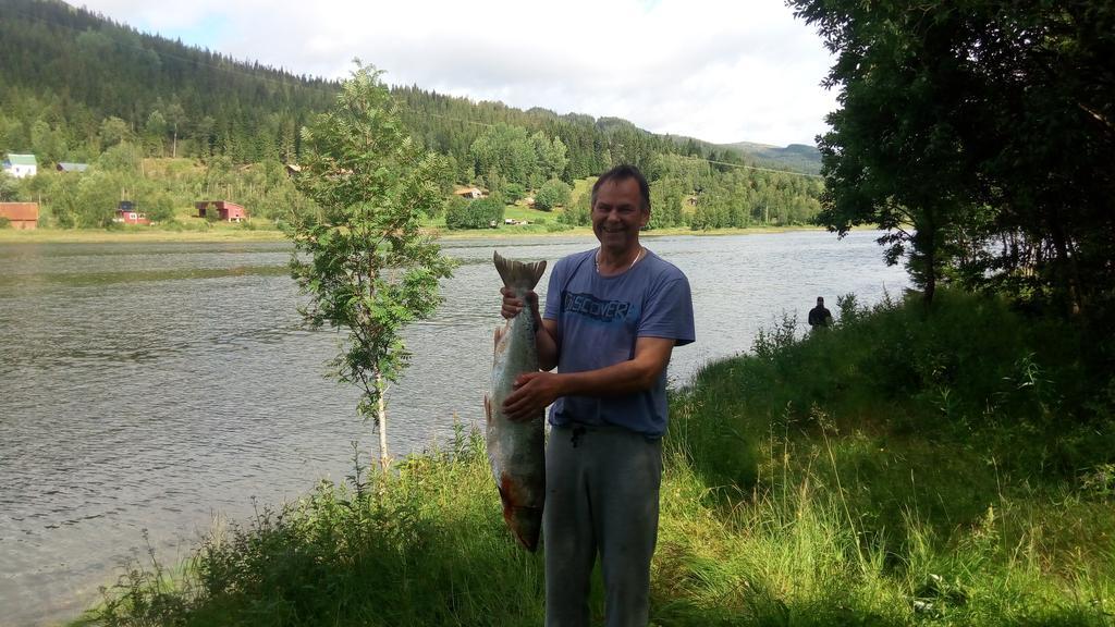 Holmset Camping And Fishing Namdalseid エクステリア 写真